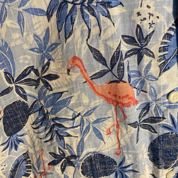 FLAMINGOS - Picture 2 of 3